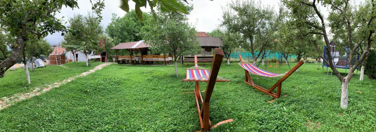 Vila Mogan Hotel Moieciu de Jos Buitenkant foto